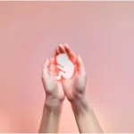 Embryo Donation