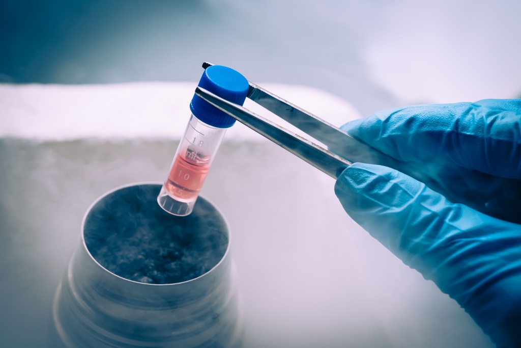 Embryo Freezing – Embryo Cryopreservation