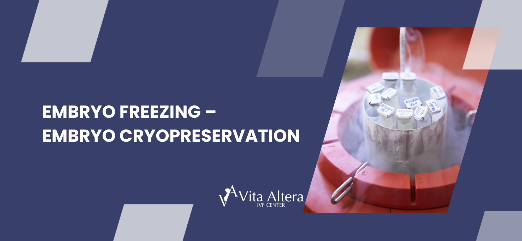 Embryo Freezing – Embryo Cryopreservation in Cyprus