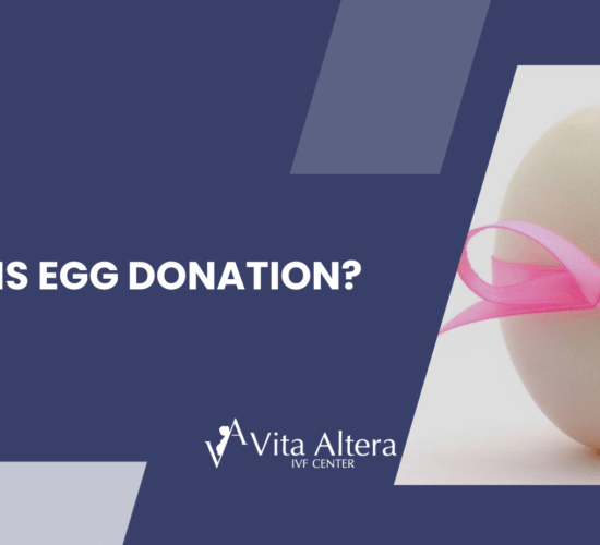 Egg Donation in Cyprus