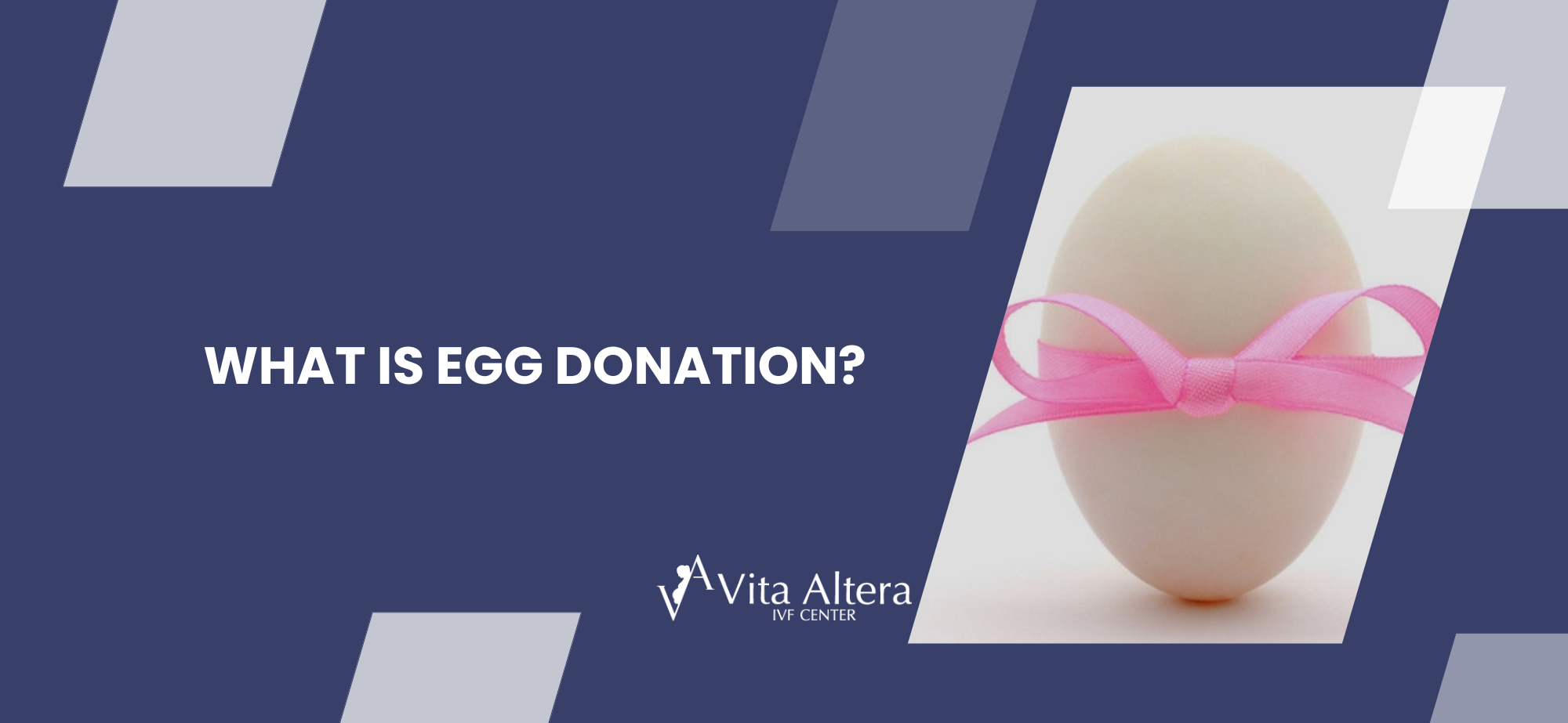 Egg Donation in Cyprus