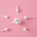 egg donation Cyprus