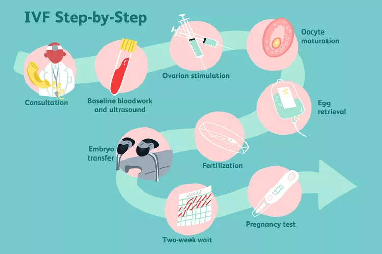 What Happens to Your Body After a Failed IVF Cycle?