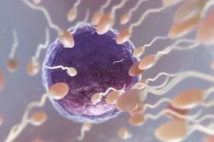 Sperm Enfeksiyonu ve Tüp Bebek Tedavisine Etkisi