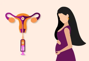 Was nach dem Embryotransfer zu tun ist: Vorsichtsmaßnahmen und mehr