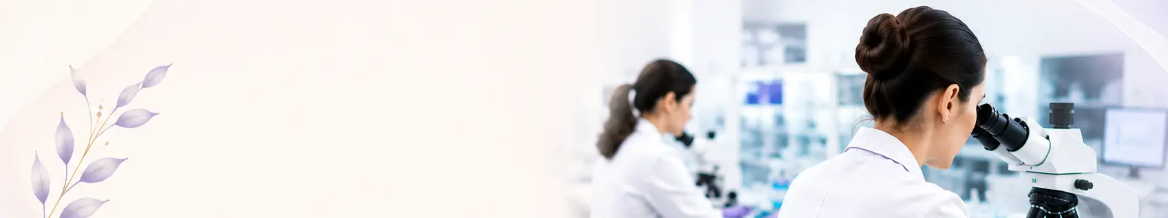 banner img