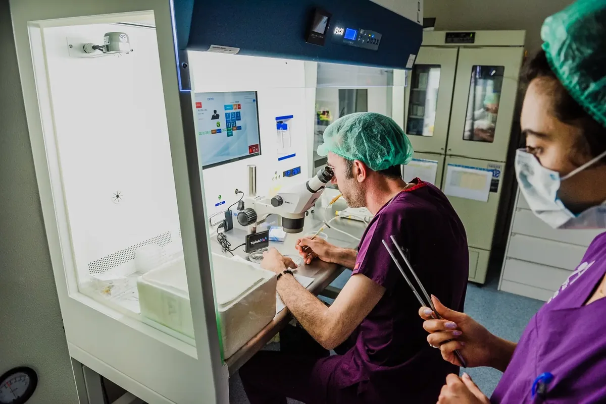 Travail au microscope au laboratoire d’embryologie Vita Altera IVF