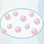 AMH kaç olmalı | Vita Altera IVF