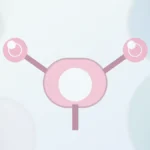 menopozda hamile kalınır mı | Vita Altera IVF