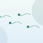 nombre normal de spermatozoïdes | Vita Altera IVF