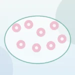 норма АМГ | Vita Altera IVF