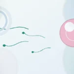 sperm sayısı kaç olmalı | Vita Altera IVF