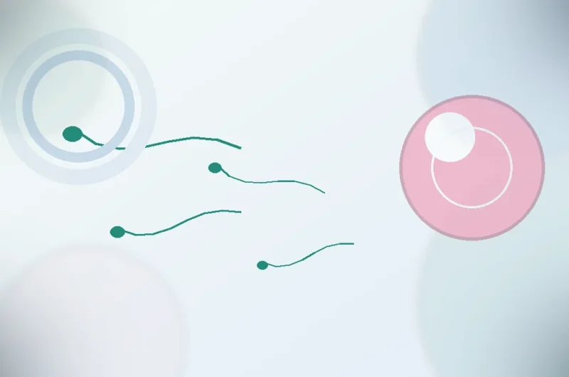 Sperm Sayısı Kaç Olmalı?