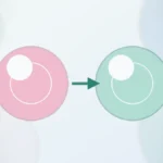 yumurta donörü nasıl seçilir | Vita Altera IVF