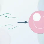 yumurta ve sperm sorunu | Vita Altera IVF
