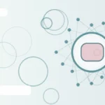 толщина эндометрия для ЭКО – Vita Altera IVF