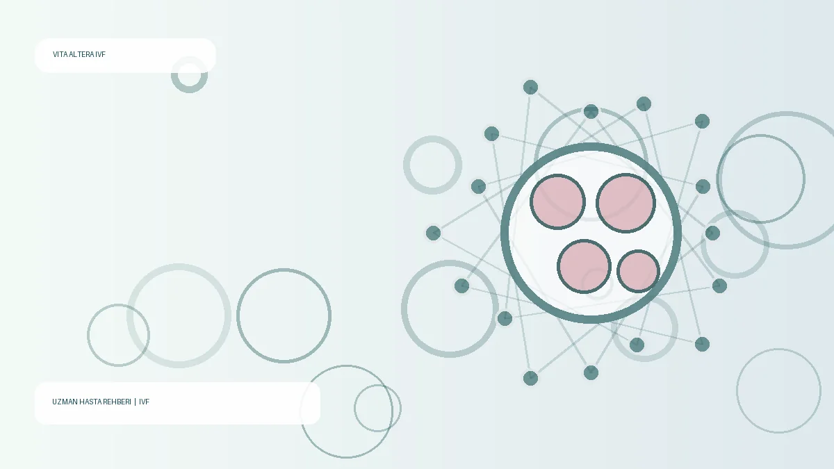 Why Does IVF Fail?